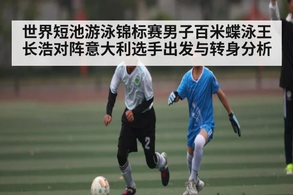 世界短池游泳锦标赛男子百米蝶泳王长浩对阵意大利选手出发与转身分析 | kaiyun