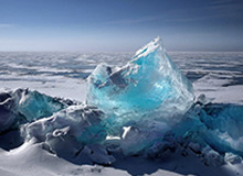 【深度】苏亚雷斯作弊是怎么回事？此事或致尤文地震